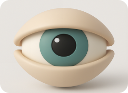 




Eyelid 


